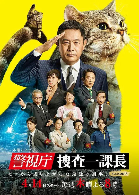 《警视厅·搜查一课长6》：国产雷剧硬核升级？塔罗牌揭秘反转不停，笑到飙泪！